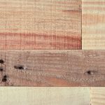 青青河边草手机免费视频 2878mi869