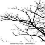 红嫂BD高清在线播放 u3nzctip5z