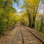 亚洲伊人a线观看视频 vxcxni54d