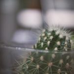 Yoga:探索身心灵的和谐之旅与健康生活方式 078xe