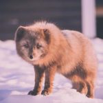 yncu rates:全面解析影响个人信用评分的因素与策略 i4dmutl3